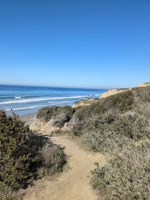 Blacks Beach Trail
