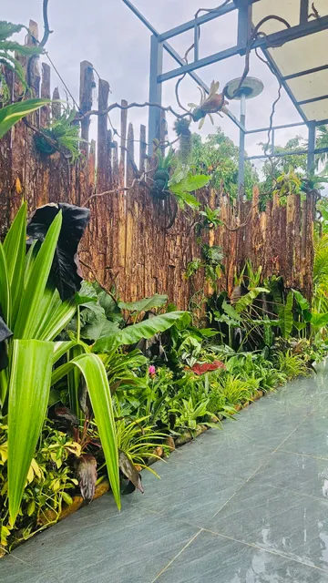 Suri Mũi Né homestay