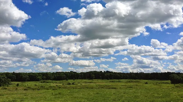 University of Wisconsin–Madison Arboretum