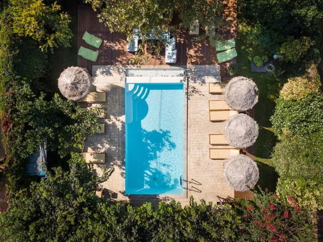 Turdus Merula Retreat