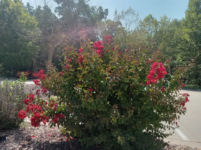 Landmark Hospital of Joplin MO