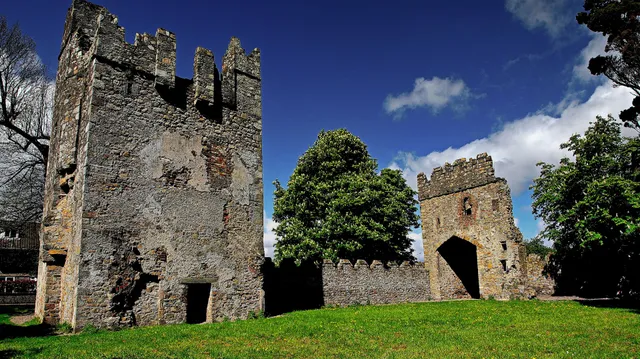 Monkstown Castle