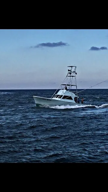 Freespool Sport Fishing