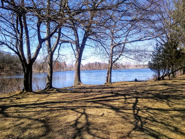 Ox Bow, School of Art and Artists' Residency