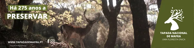 Tapada Nacional de Mafra