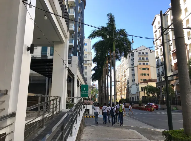 Palmtree-genlex Newport