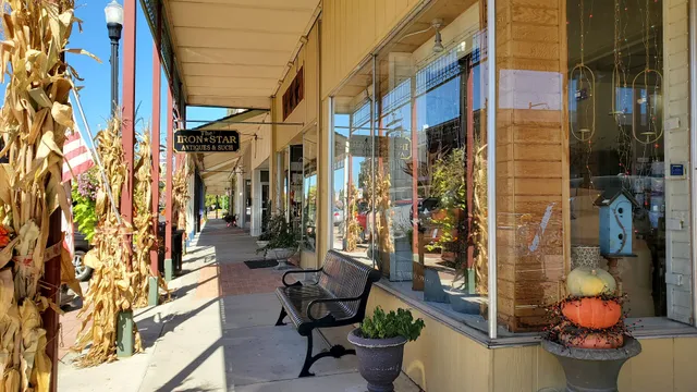 Iron Star Antiques & Such