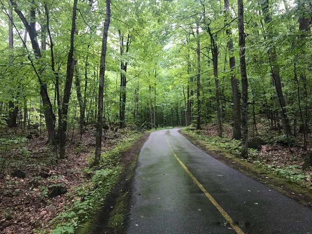 Gatineau Park P2
