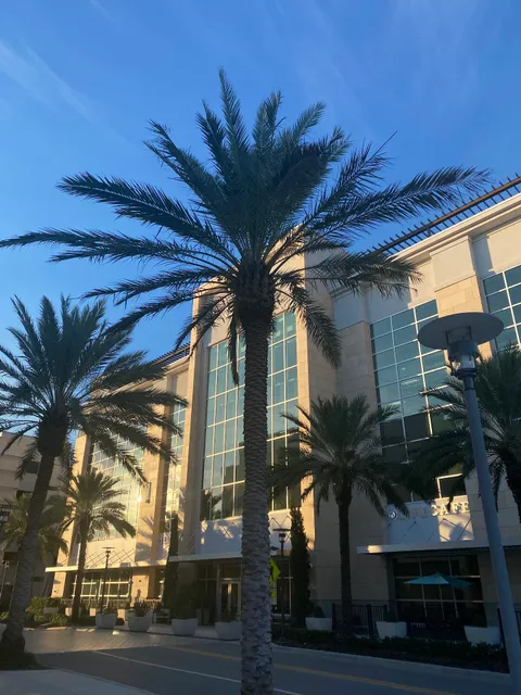 Movies at the Gardens