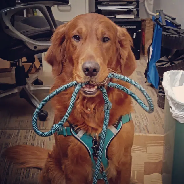 Lincoln Plaza Galleria