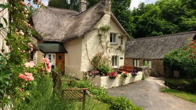 Three Pound Cottage, The Thatched Dartmoor Holiday Cottage