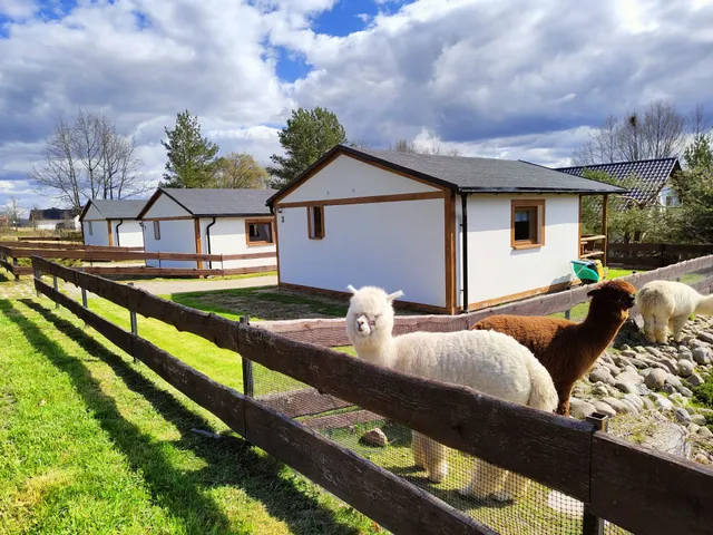 Domki Chmielno na Słonecznikowej