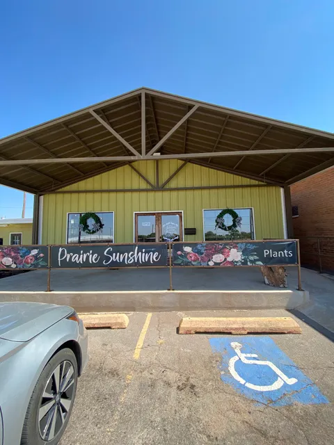 Prairie Sunshine Flowers