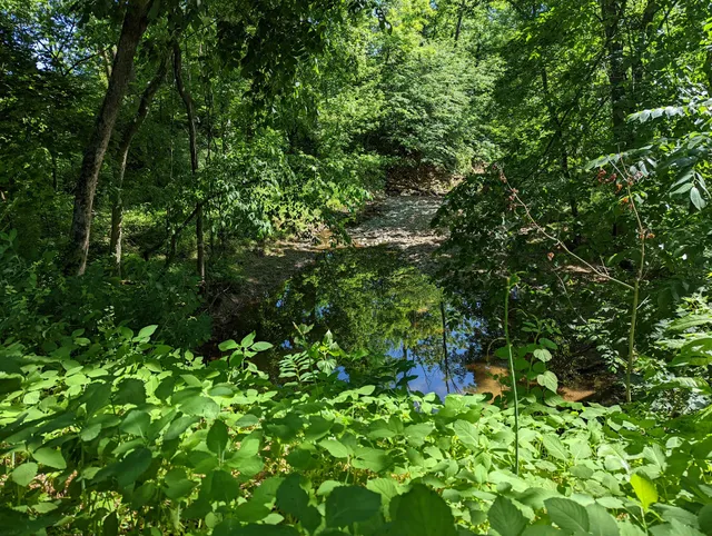 Schuylkill River Trail (Pottstown)