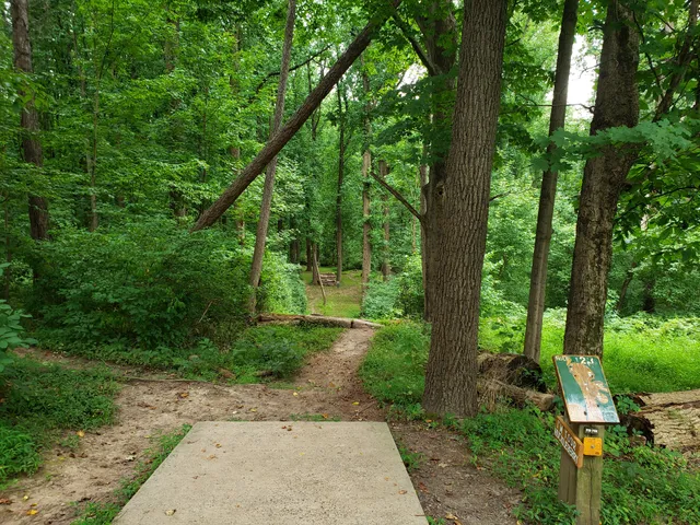 Tyler State Park West Disc Golf Course