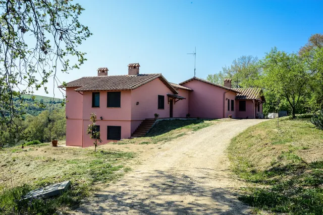 L' Albero degli Struzzi