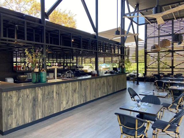 Alemán Experto Macul