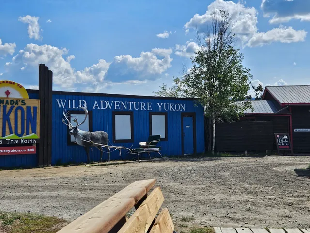 Wild Adventure Yukon