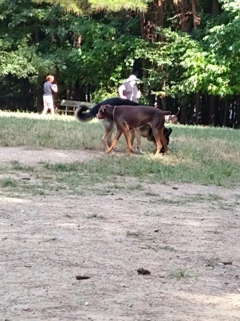K9 Park At Ramsey Creek