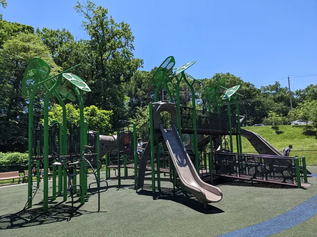 Frank Cocchiola Playground