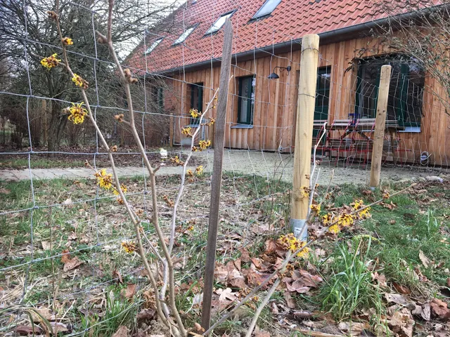 Broockhof Ferienwohnung unterm Sternenhimmel