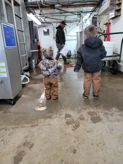 Bernard County Dairy LLC