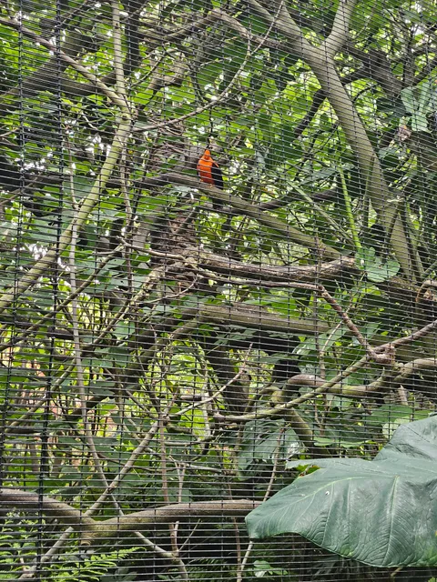 Parker Aviary
