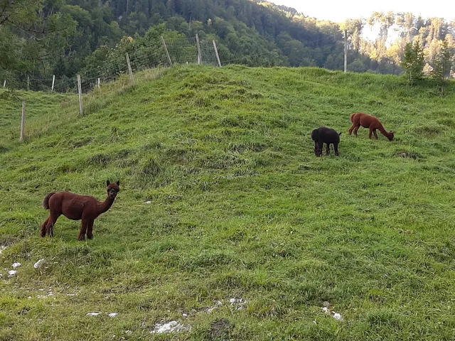 Ferienwohnungen Aschau