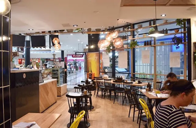 Paper Cup & Co Cafe Coffee Breakfast Brunch