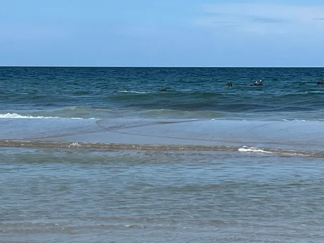 MÜV Dispensary New Smyrna Beach