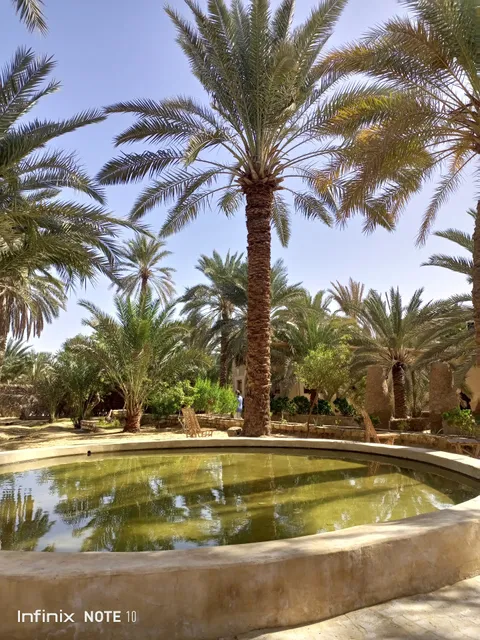 The Traditional Siwa House