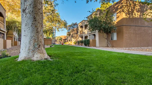 Tanglewood Apartment Homes