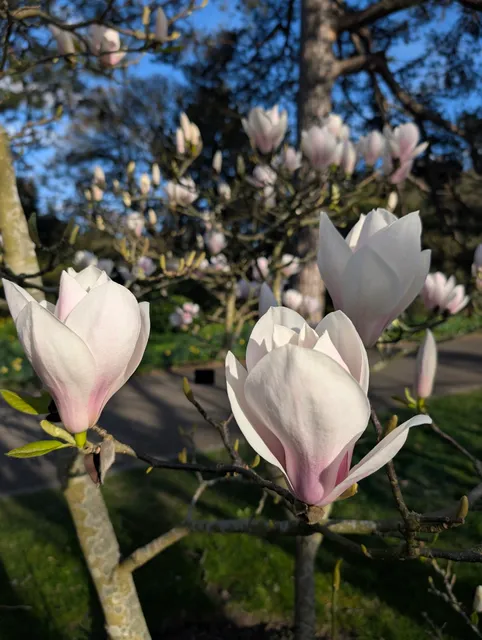 Kew Gardens Elizabeth Gate