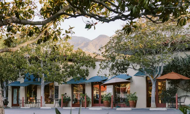 Wendy Foster Montecito