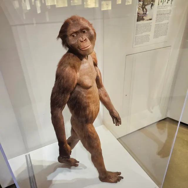 Houston Museum of Natural Science