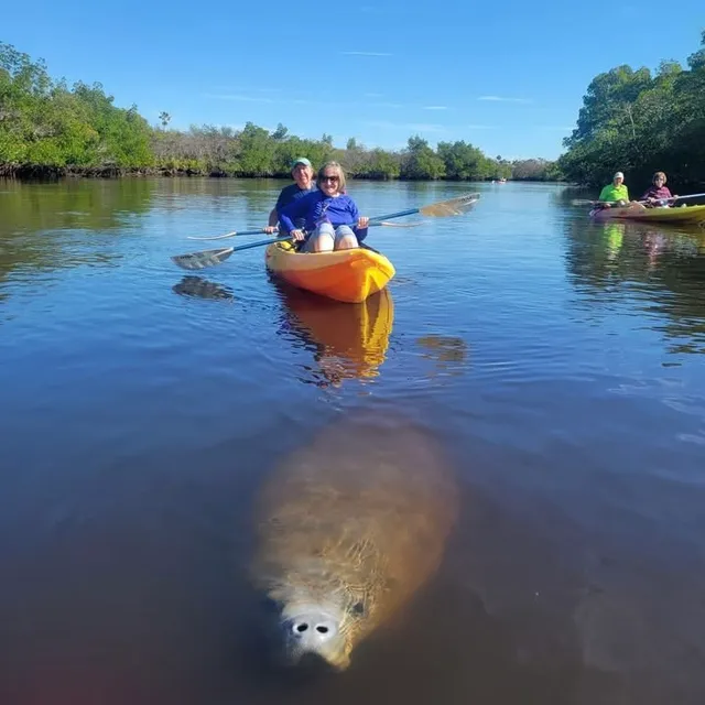 Manatee Kayaking Company