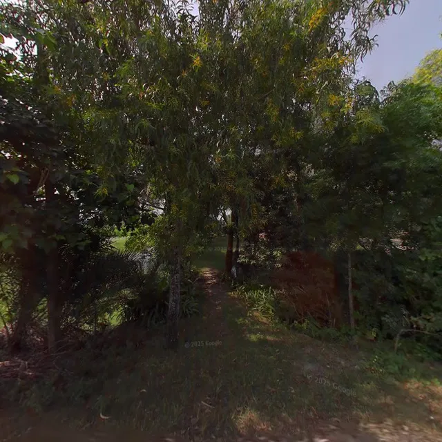 Tiger House Guesthouse