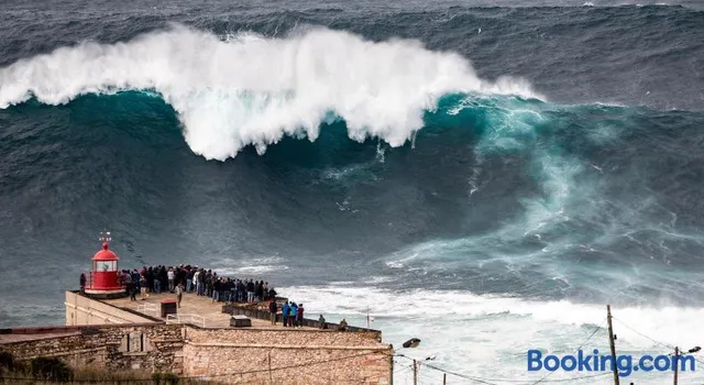 Apartamentos das Avós