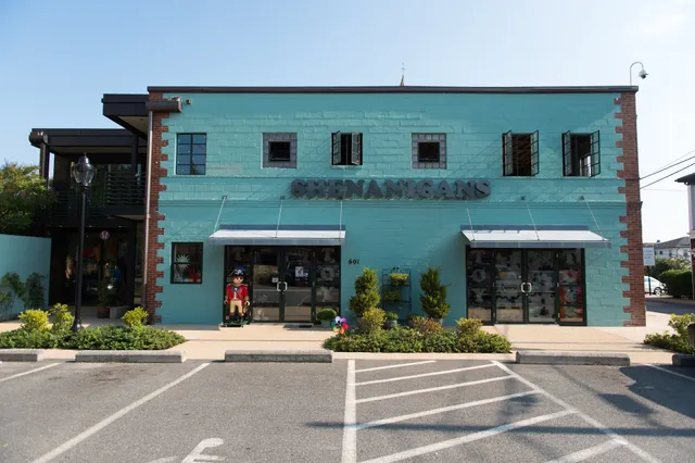 SHENANIGANS Toy Store