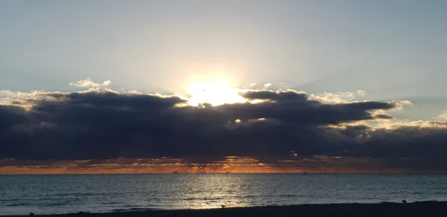 Miami Beach Parking Lot