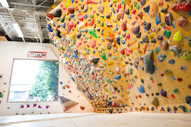 Bouldering space BLEAU