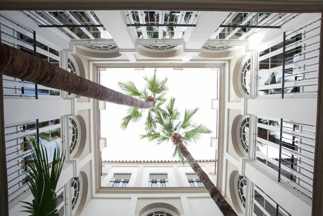 Ita Vidrio | Hospitalización