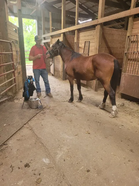 High Tail Horse Ranch