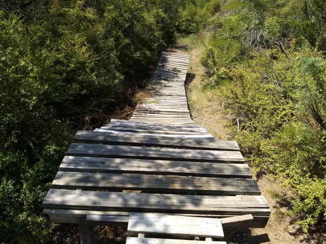 Big Cedar Wilderness Trail