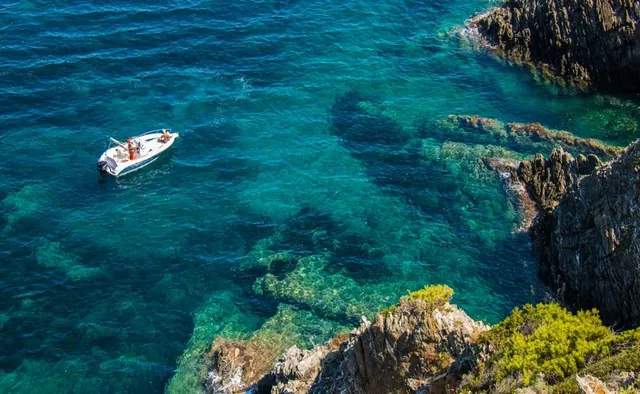 Holiday rentals Bormes-les-Mimosas