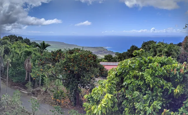 Sacred Grounds Coffee Farm