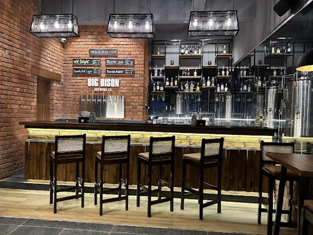 Big Bison Brewing Co.