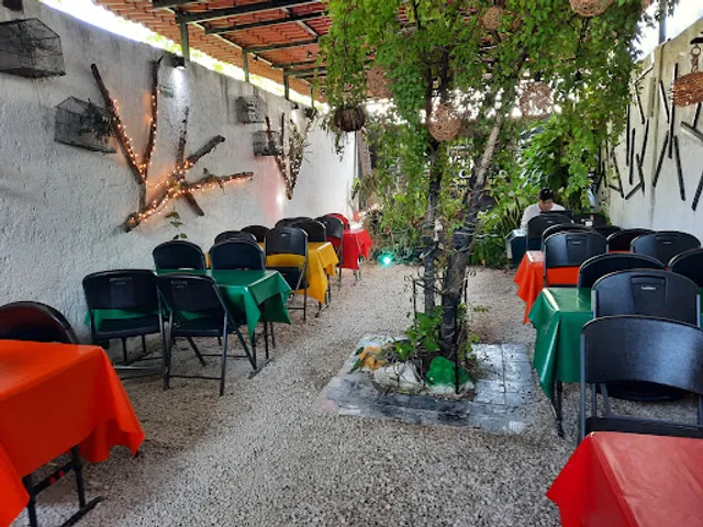 Casa Vieja "El Arte Del Café"