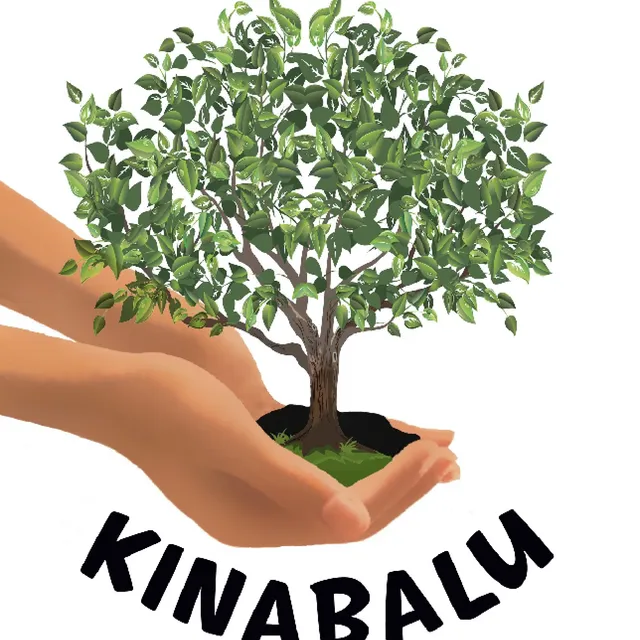 Treehouse in The Pocket