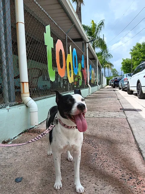 Humane Society of Puerto Rico